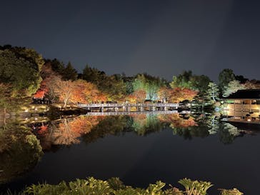国営昭和記念公園 秋の夜散歩に投稿された画像（2025/11/16）