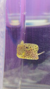 NIFREL（ニフレル）に投稿された画像（2025/11/16）