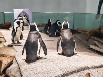 NIFREL（ニフレル）に投稿された画像（2025/11/16）