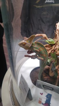 NIFREL（ニフレル）に投稿された画像（2025/11/16）