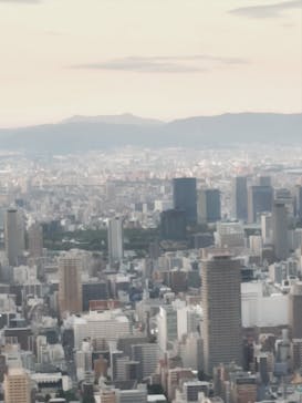 ハルカス300(展望台)に投稿された画像（2025/11/16）