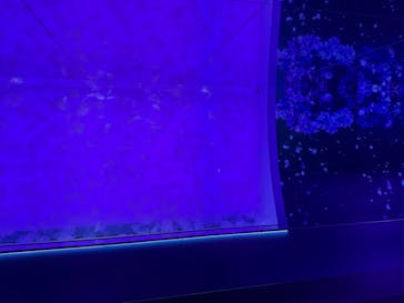 アクアワールド茨城県大洗水族館に投稿された画像（2025/11/16）