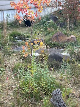 名古屋市東山動植物園に投稿された画像（2025/11/16）