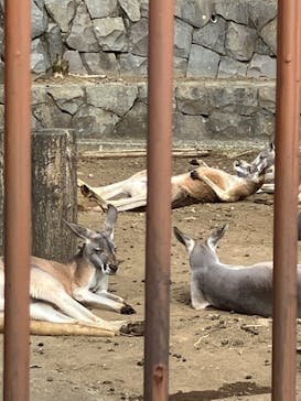 多摩動物公園に投稿された画像（2025/11/16）