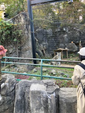 多摩動物公園に投稿された画像（2025/11/16）