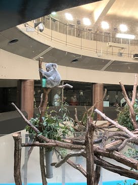 多摩動物公園に投稿された画像（2025/11/16）