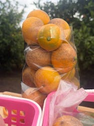 芝口果樹園に投稿された画像（2025/11/16）