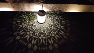 世羅高原農場に投稿された画像（2025/11/16）