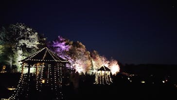 世羅高原農場に投稿された画像（2025/11/16）