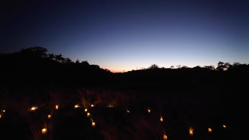 世羅高原農場に投稿された画像（2025/11/16）