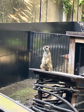 恩賜上野動物園に投稿された画像（2025/11/16）