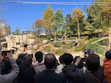 恩賜上野動物園に投稿された画像（2025/11/16）
