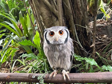 伊豆シャボテン動物公園に投稿された画像（2025/11/16）