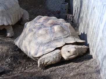 竹島水族館に投稿された画像（2025/11/16）