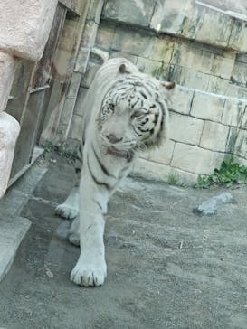東武動物公園に投稿された画像（2025/11/16）