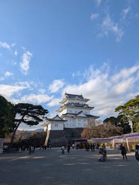 小田原城に投稿された画像（2025/11/16）