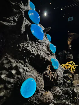 金曜ロードショーとジブリ展（静岡展）に投稿された画像（2025/11/16）