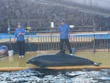 越前松島水族館に投稿された画像（2025/11/16）