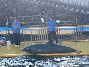 越前松島水族館に投稿された画像（2025/11/16）