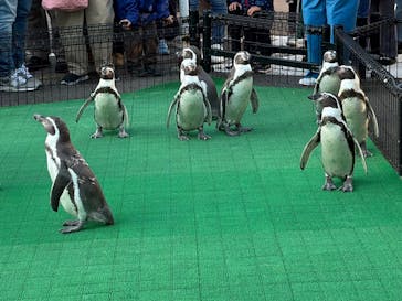 越前松島水族館に投稿された画像（2025/11/16）