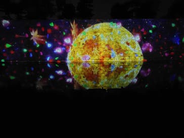 NAKED meets 二条城 2025 観月に投稿された画像（2025/11/16）