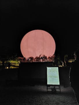 NAKED meets 二条城 2025 観月に投稿された画像（2025/11/16）