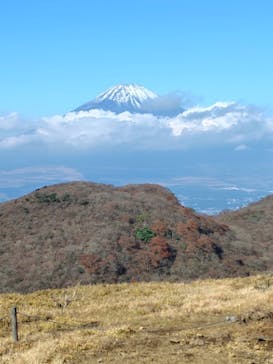 箱根駒ケ岳ロープウェーに投稿された画像（2025/11/16）