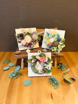 ギャラリー陶苔に投稿された画像（2025/11/16）