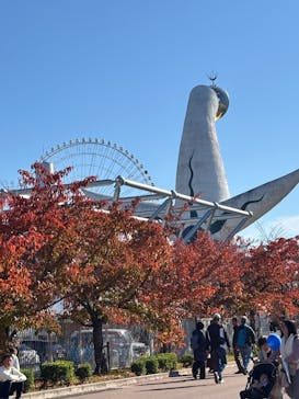 万博記念公園に投稿された画像（2025/11/16）