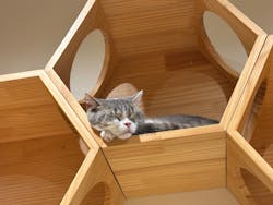 Cat Café MOFF SHIMINT HIROSHIMA店に投稿された画像（2025/11/16）