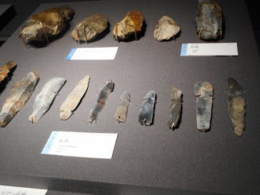 東京国立博物館に投稿された画像（2025/11/16）