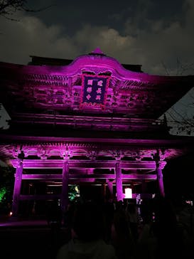ZEN NIGHT WALK KAMAKURAに投稿された画像（2025/11/16）