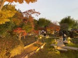 国営昭和記念公園 秋の夜散歩に投稿された画像（2025/11/16）