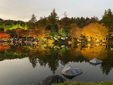 国営昭和記念公園 秋の夜散歩に投稿された画像（2025/11/16）