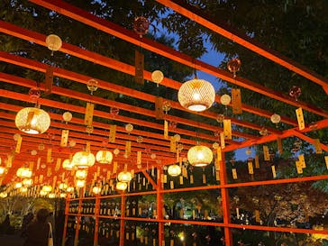 国営昭和記念公園 秋の夜散歩に投稿された画像（2025/11/16）