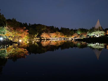 国営昭和記念公園 秋の夜散歩に投稿された画像（2025/11/16）