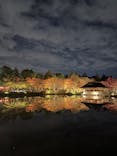国営昭和記念公園 秋の夜散歩に投稿された画像（2025/11/16）