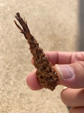 モビリティリゾートもてぎに投稿された画像（2025/11/16）