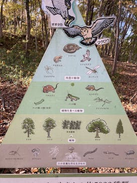 モビリティリゾートもてぎに投稿された画像（2025/11/16）