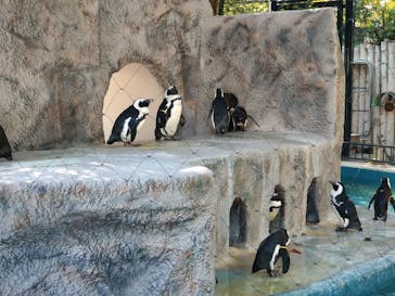 恩賜上野動物園に投稿された画像（2025/11/16）