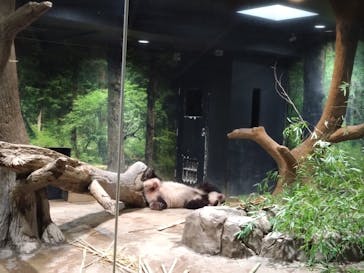 恩賜上野動物園に投稿された画像（2025/11/16）