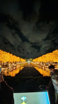 国営昭和記念公園 秋の夜散歩に投稿された画像（2025/11/16）