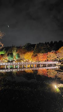 国営昭和記念公園 秋の夜散歩に投稿された画像（2025/11/16）