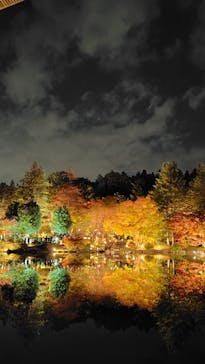 国営昭和記念公園 秋の夜散歩に投稿された画像（2025/11/16）