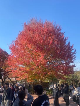 名古屋市東山動植物園に投稿された画像（2025/11/16）