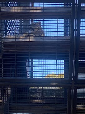 名古屋市東山動植物園に投稿された画像（2025/11/16）