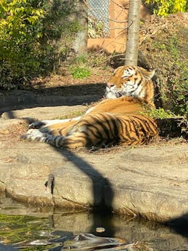 那須どうぶつ王国に投稿された画像（2025/11/16）