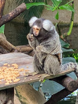 那須どうぶつ王国に投稿された画像（2025/11/16）