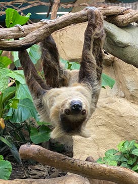 那須どうぶつ王国に投稿された画像（2025/11/16）