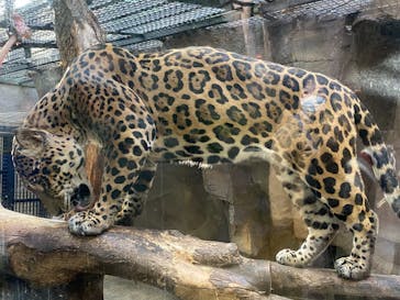 那須どうぶつ王国に投稿された画像（2025/11/16）